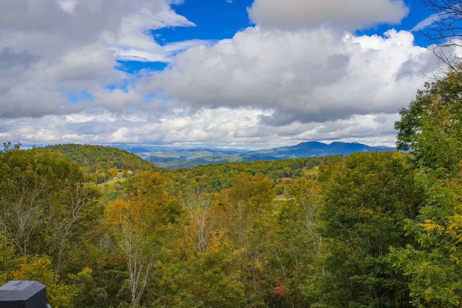 Long-range view over autumn trees